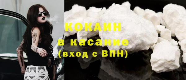 шишки Арсеньев