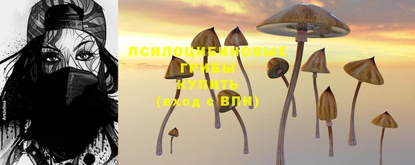 шишки Арсеньев