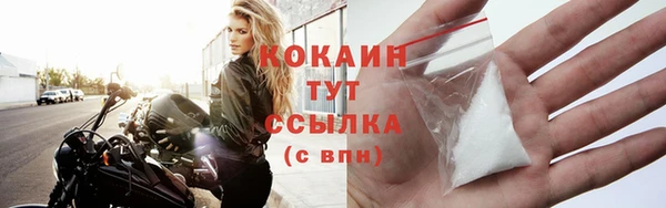 шишки Арсеньев