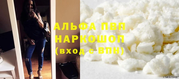 шишки Арсеньев