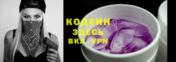 шишки Арсеньев