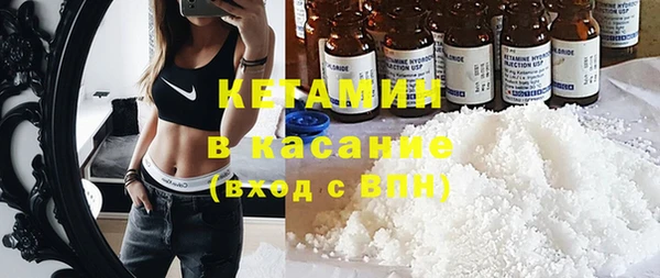 шишки Арсеньев