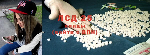 шишки Арсеньев