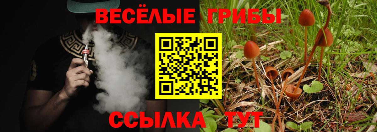 наркошоп  Галлюциногенные грибы ЛСД  Вход с VPN  Пушкино 